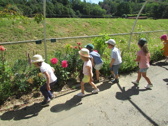 Promenade à la Colline aux oiseaux.