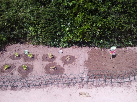 Tous au jardin ! Tous au jardin !