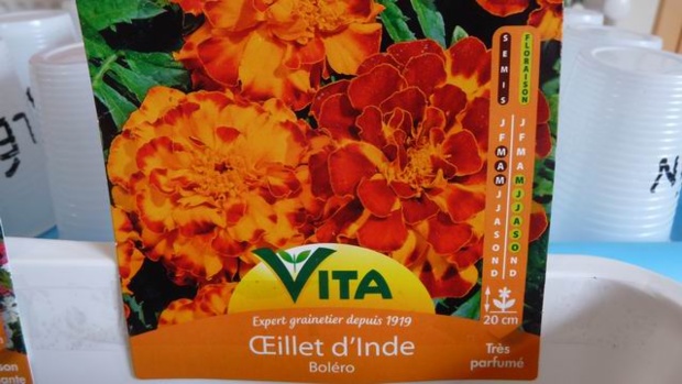 les semis des GS/CP les semis des GS/CP