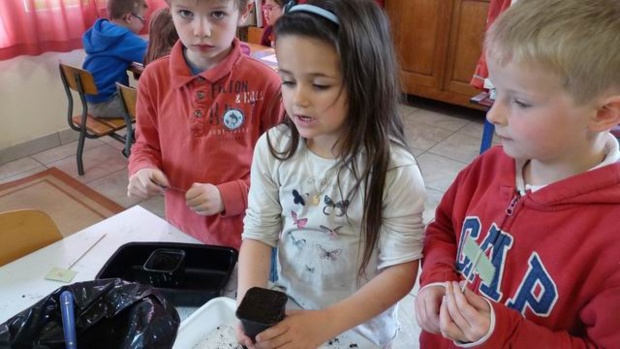 les semis des GS/CP les semis des GS/CP