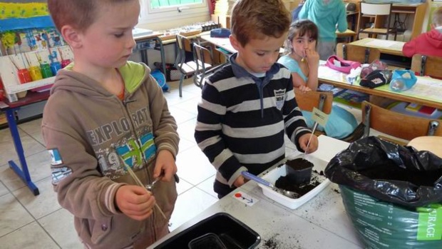 les semis des GS/CP les semis des GS/CP