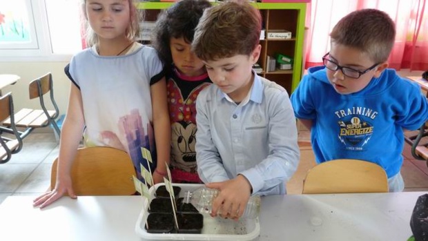 les semis des GS/CP les semis des GS/CP