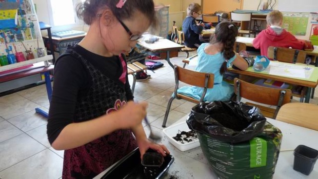 les semis des GS/CP les semis des GS/CP