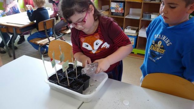 les semis des GS/CP les semis des GS/CP