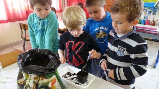 les semis des GS/CP les semis des GS/CP