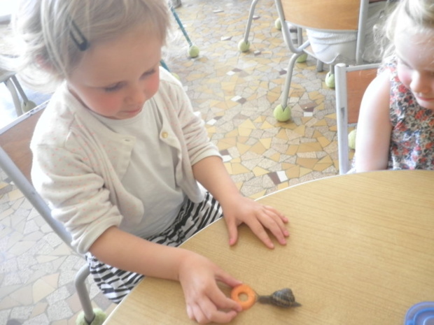 Les escargots Les escargots