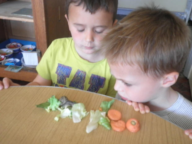 Les escargots Les escargots