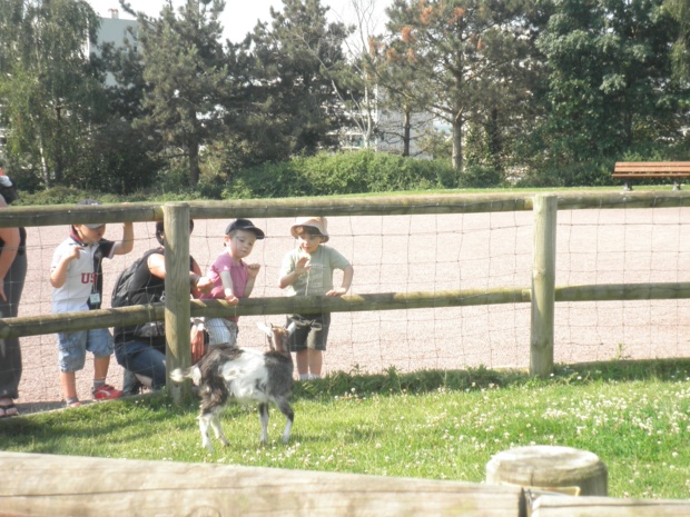 Sortie à la Colline aux Oiseaux pour les classes de TPS,PS et MS