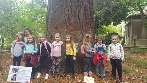 Sortie au jardin des plantes CP Sortie au jardin des plantes CP