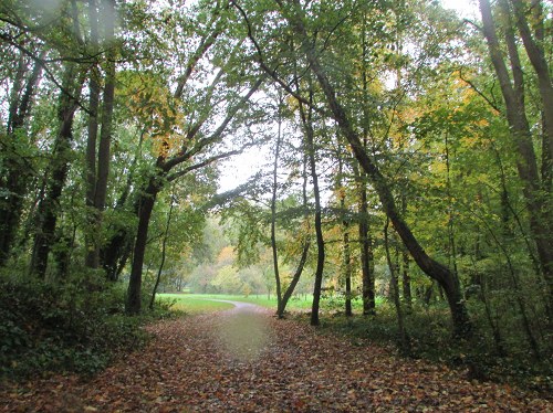 Promenons-nous dans le Bois... Promenons-nous dans le Bois...