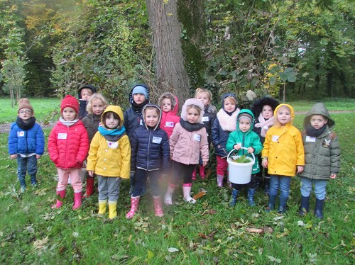 Promenons-nous dans le Bois...