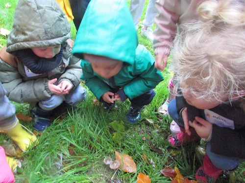 Promenons-nous dans le Bois...