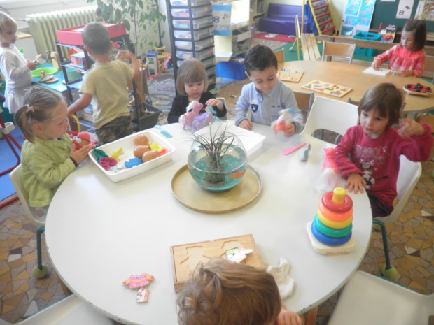 Premiers jours à l'école... Premiers jours à l'école...