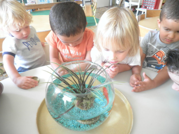 Premiers jours à l'école... Premiers jours à l'école...