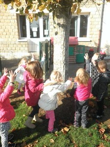 Couleurs d'automne Couleurs d'automne