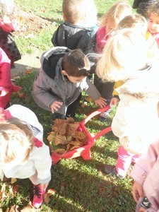 Couleurs d'automne Couleurs d'automne