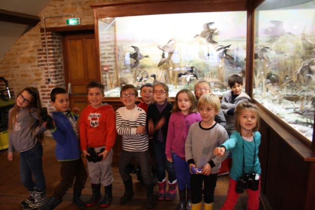 une matinée à la réserve de Saint Samson une matinée à la réserve de Saint Samson