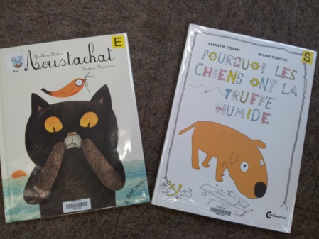 Sortie à la bibliothèque Sortie à la bibliothèque