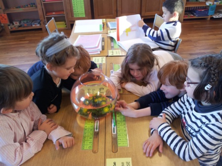 Un cadeau du Père Noël ! Un cadeau du Père Noël !