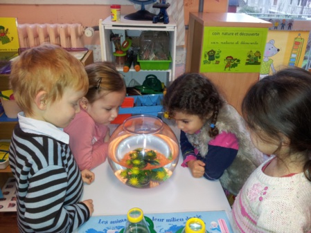 Un cadeau du Père Noël ! Un cadeau du Père Noël !