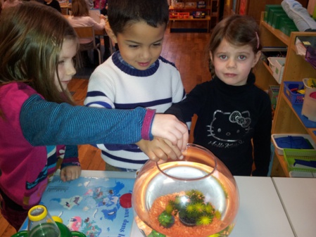 Un cadeau du Père Noël ! Un cadeau du Père Noël !