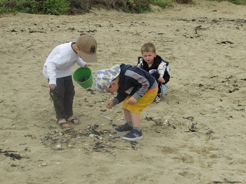 Les TPS/PS à la plage... Les TPS/PS à la plage...