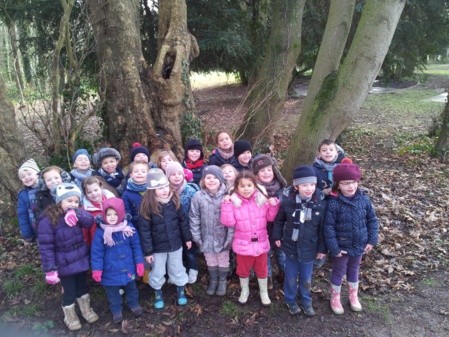 Sortie au bois de Lébisey Sortie au bois de Lébisey