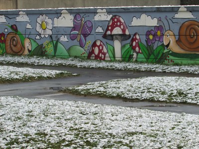 Il neige! Il neige!