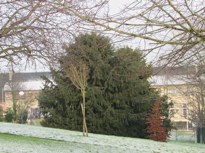 Il neige! Il neige!