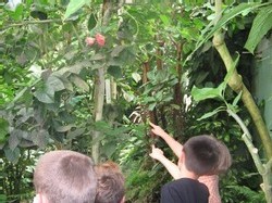 Ecole Sacré Coeur Ouistreham - Visite du Naturospace à Honfleur