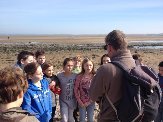 Le cycle 3 sur l'Estran Le cycle 3 sur l'Estran