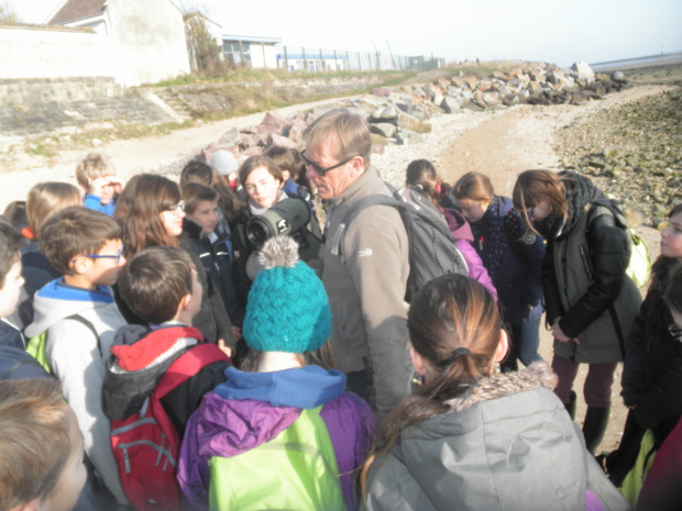 Le cycle 3 sur l'Estran Le cycle 3 sur l'Estran