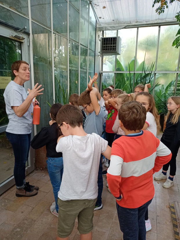 Sortie au Jardin  des Plantes 