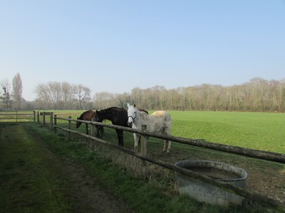 Promenons-nous à la ferme... Promenons-nous à la ferme...