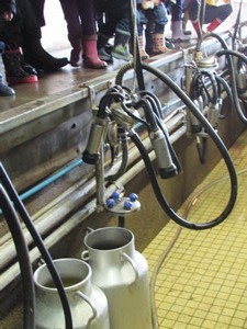 Promenons-nous à la ferme... Promenons-nous à la ferme...