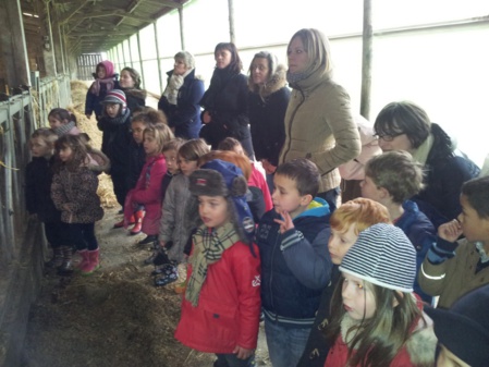 Sortie à la ferme