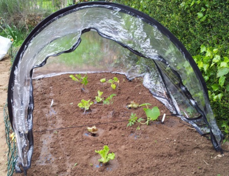 En route vers le jardin ! En route vers le jardin !