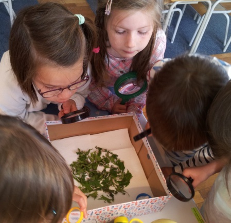 Elevage de "petites bêtes" !! Elevage de "petites bêtes" !!