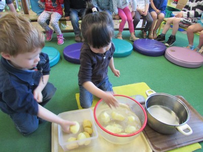 Les pommes de terre Les pommes de terre