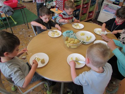 Les pommes de terre Les pommes de terre