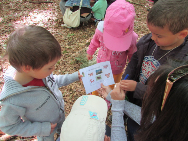 Promenons-nous dans la forêt de Balleroy Promenons-nous dans la forêt de Balleroy