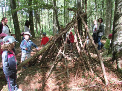 Promenons-nous dans la forêt de Balleroy