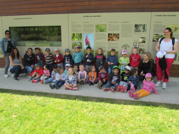 Promenons-nous dans la forêt de Balleroy Promenons-nous dans la forêt de Balleroy