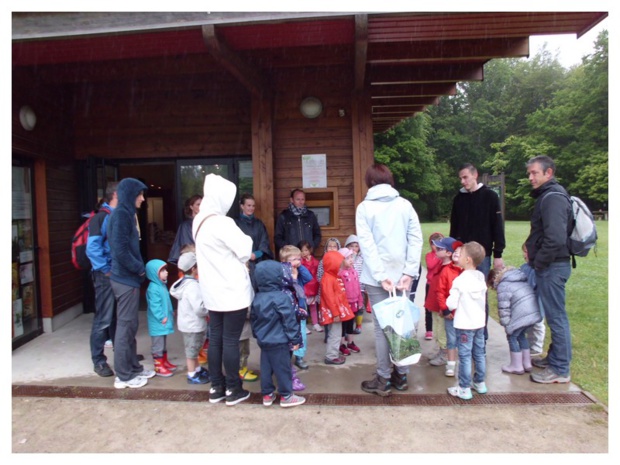 Notre sortie en forêt de Balleroy