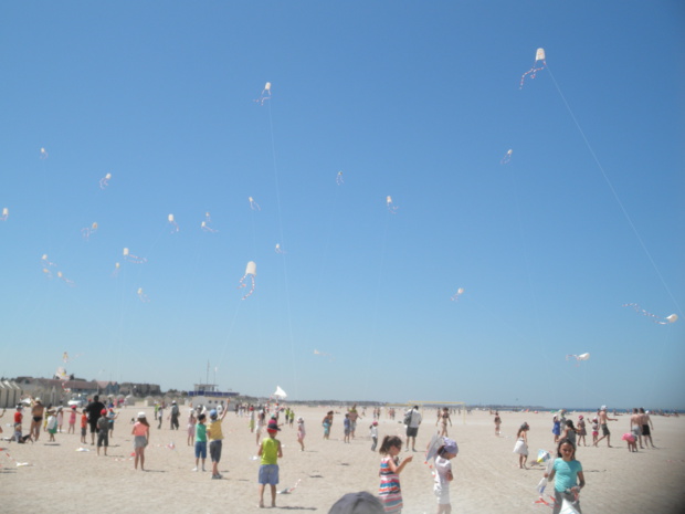 Envol de nos cerfs-volants Envol de nos cerfs-volants