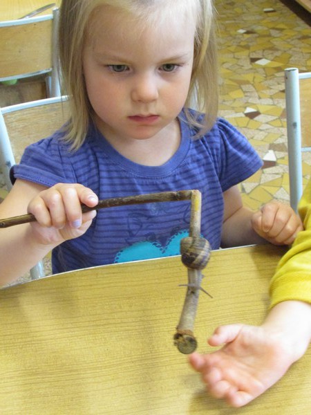 De nouveaux amis:les escargots De nouveaux amis:les escargots