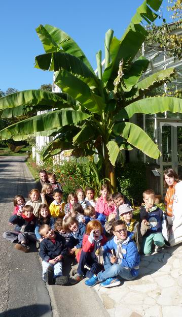 Les GS/CP visitent le jardin des plantes Les GS/CP visitent le jardin des plantes