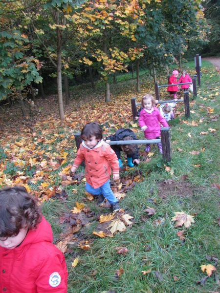 Promenade au Bois de Lébisey