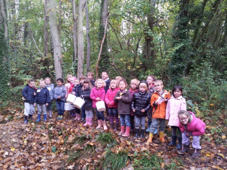 Sortie au bois du Caprice Sortie au bois du Caprice