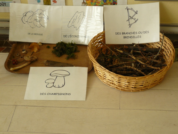 Sortie au bois de Lébisey Sortie au bois de Lébisey